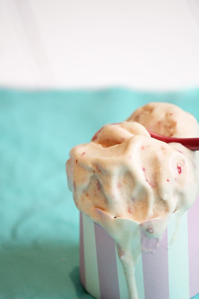 Sugar Free Peaches ‘n’ Cream Ice Cream