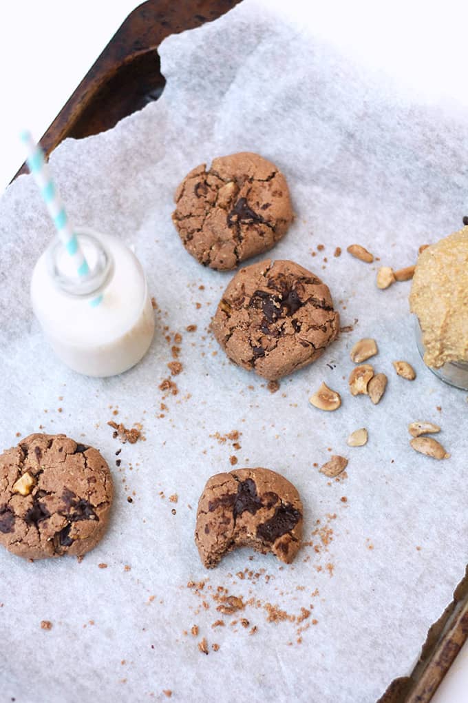 Low Sugar Chocolate Chip Cookie (Gluten Free)