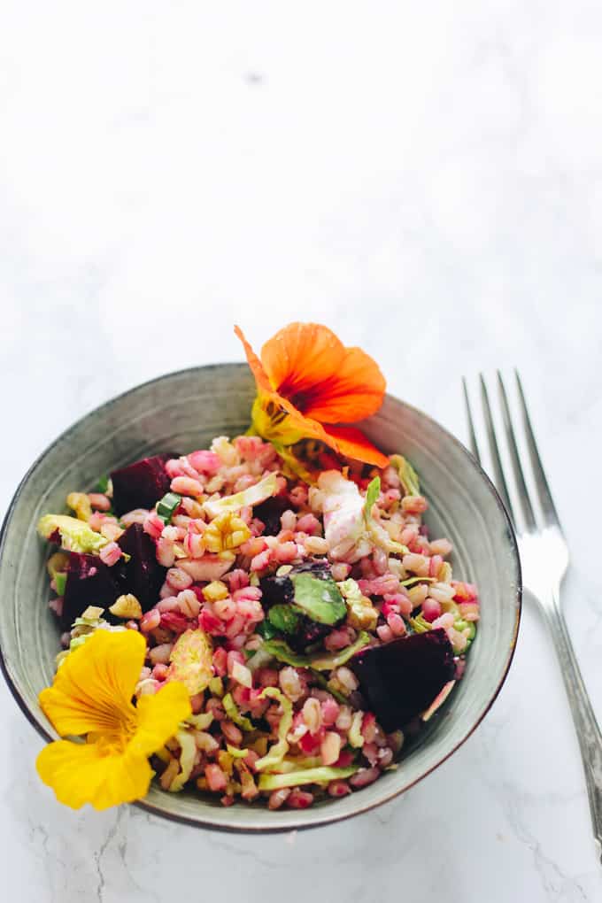 Warm Beetroot, Barley & Goat’s Cheese Salad