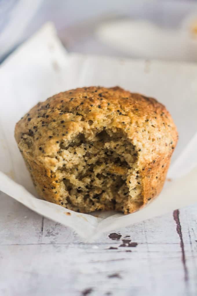 Sugar Free Lemon & Poppy Seed Muffins
