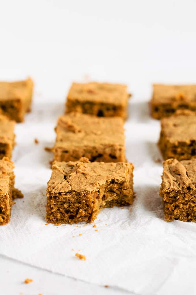 Low Sugar Squash Gingerbread (Gluten & Dairy Free)